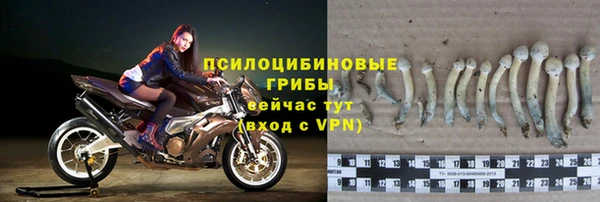 jwh Осташков