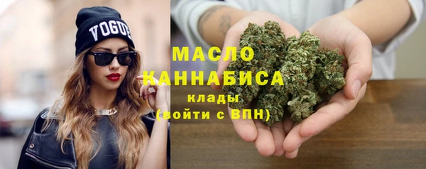 гидра Осинники