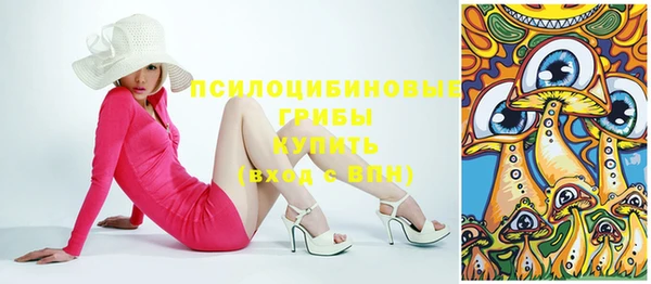 гидра Осинники
